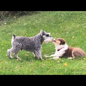 For Laura ONLY please